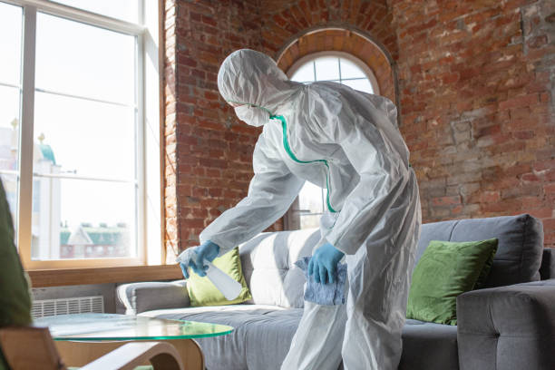  Shelbina, MO Mold Removal & Remediation Pros